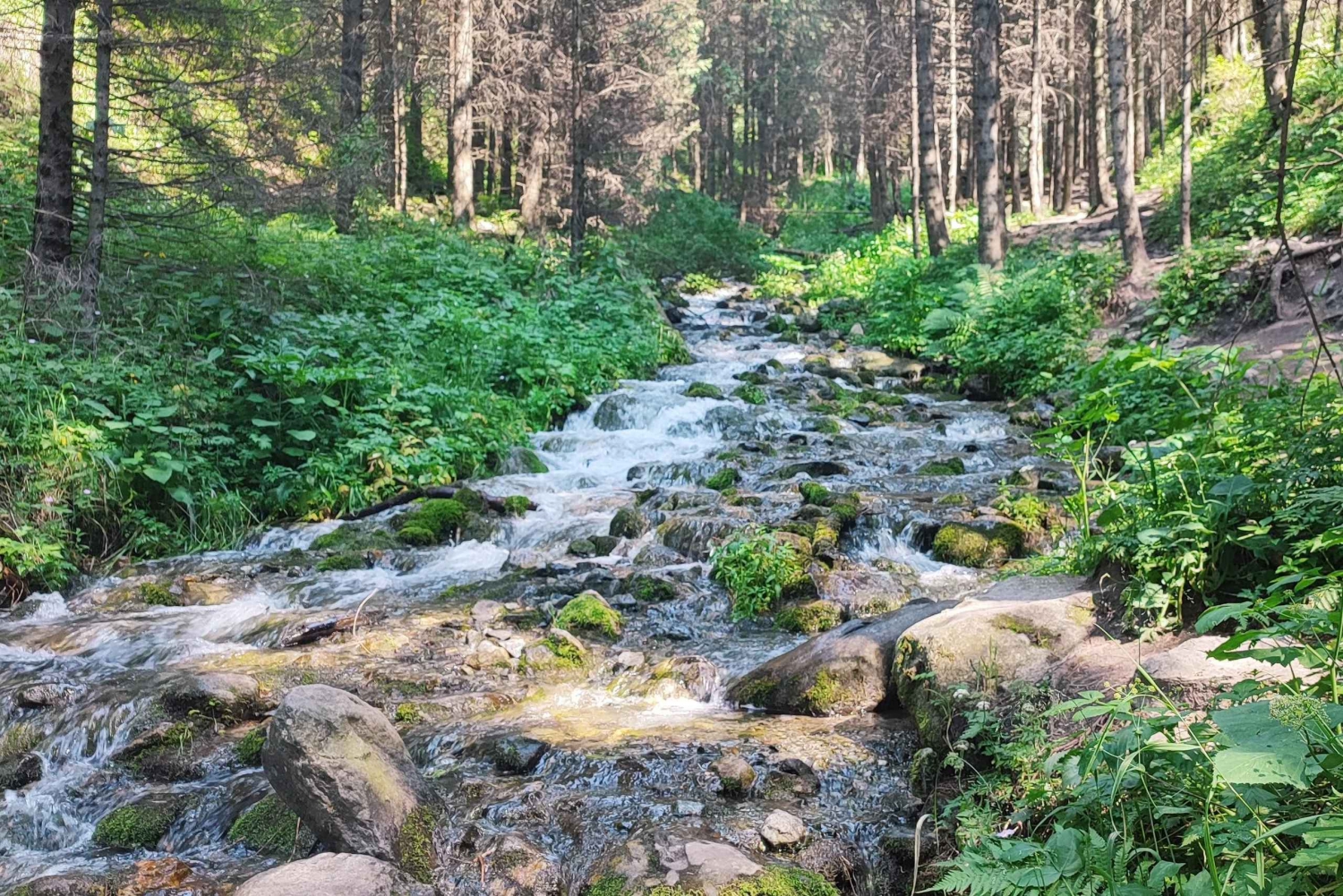 Almaty en un día: Lo mejor de las montañas y la ciudad
