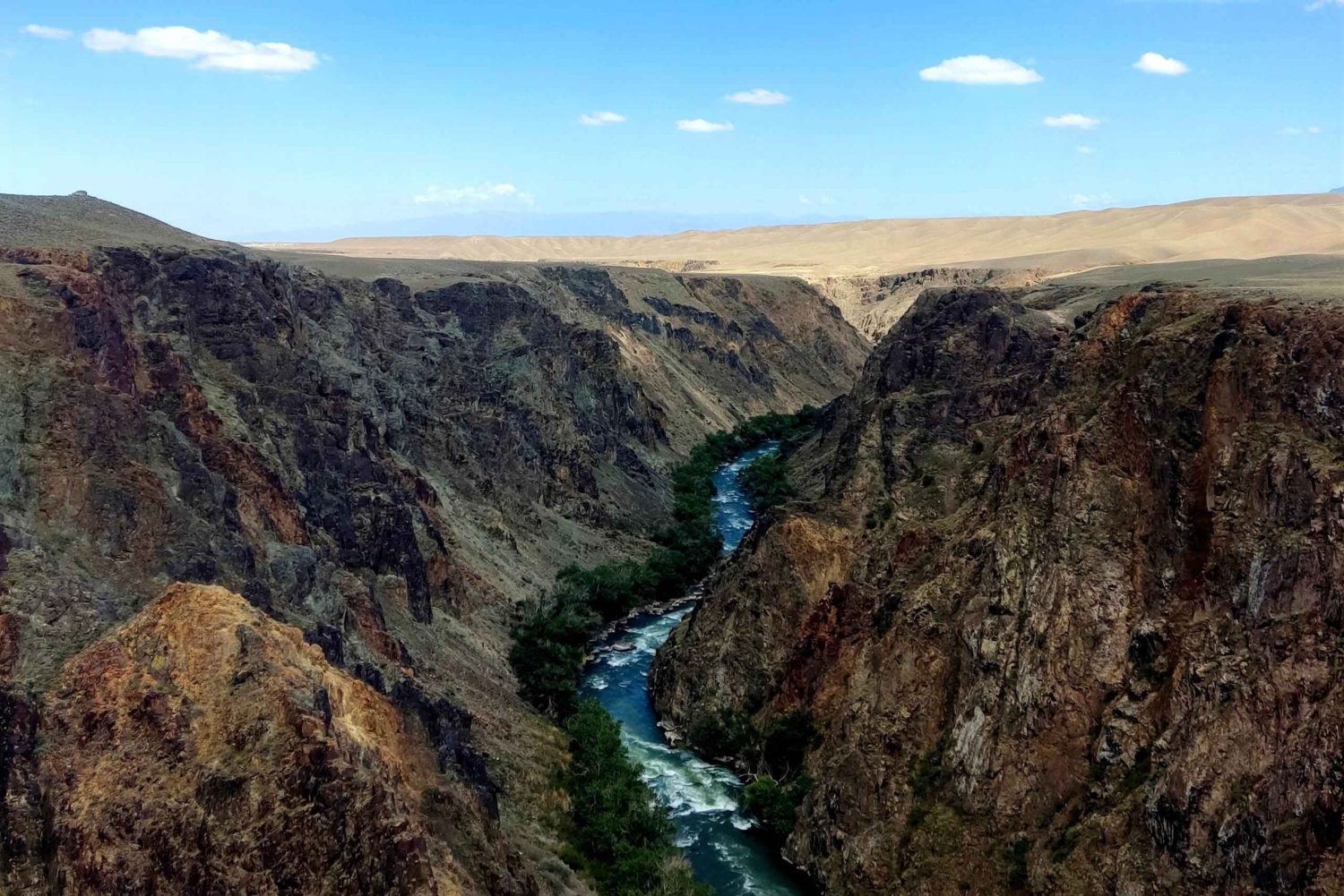 Almaty: Excursión de un día a los lagos Kolsai y Kaindy y al Cañón Negro