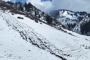 アルマトイシムブラク、メデウ、コクトベ：ケーブルカーとチケットで