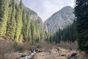 Z Ałmaty: Kanion Czaryński z wycieczką nad jeziora Kolsay i Kaindy