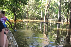 From Manaus: One-Day Amazon Jungle Experience