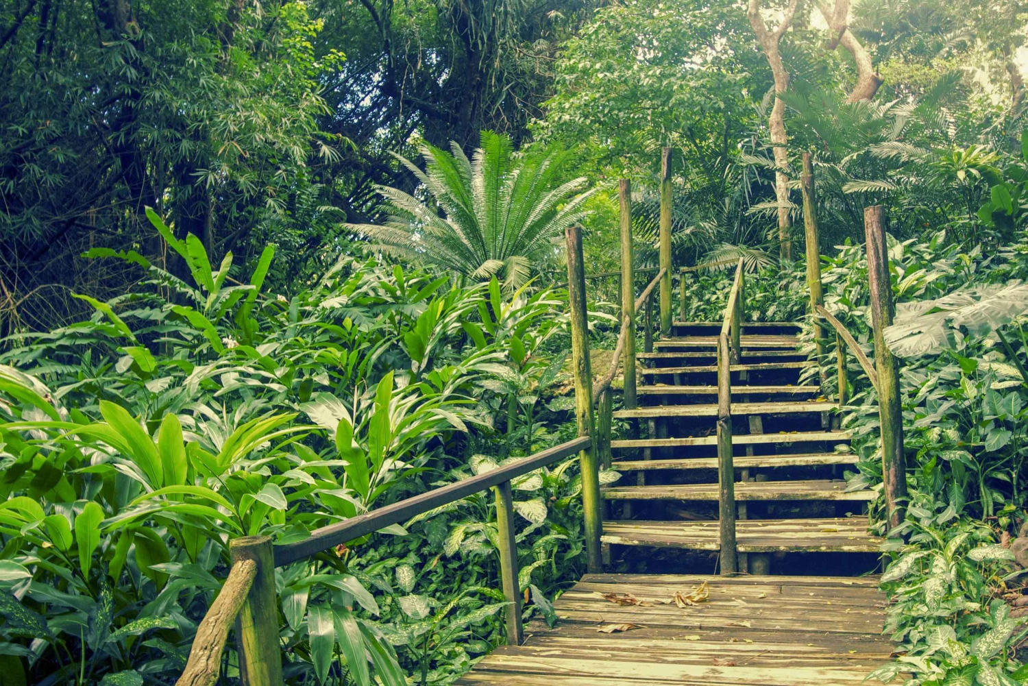 Nadi: Garden Village Hot Spring & Temple Highlights Tour