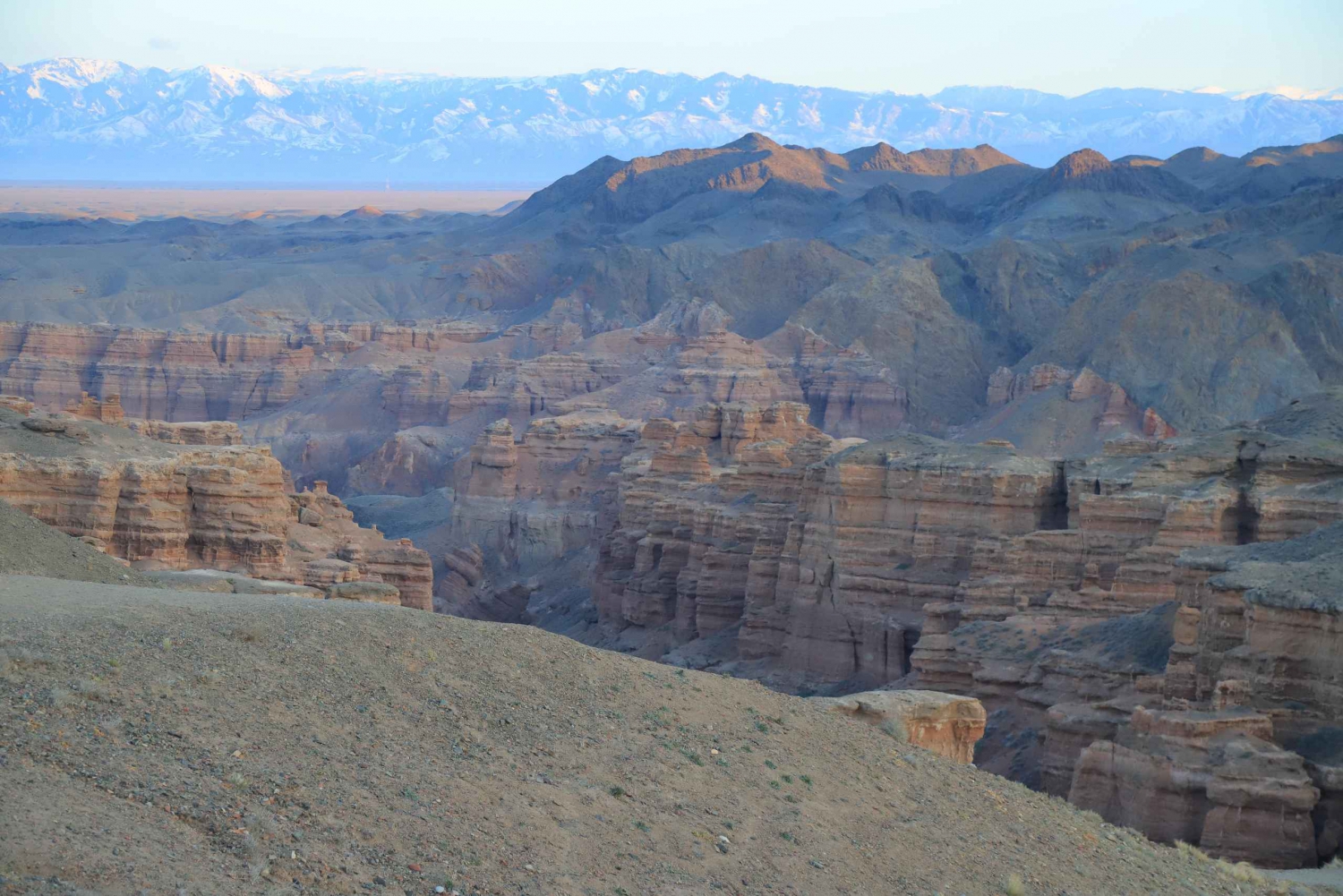 Tour VIP privado de 1 día al cañón de Charyn, el lago Kaindy y Kolsai