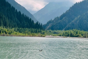 Privé: Issyk meer, museum van Gouden Man, Forellenkwekerij