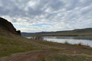 Tamgaly Tas i miasto nomadów: Wycieczka 1-dniowa