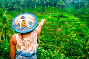 Ubud: Waterfall, Rice Terraces & Monkey Forest Tour