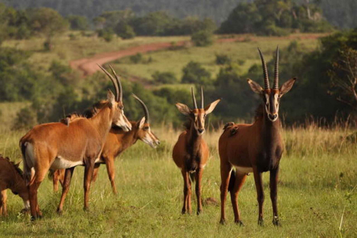 1日榛葉丘陵ツアー