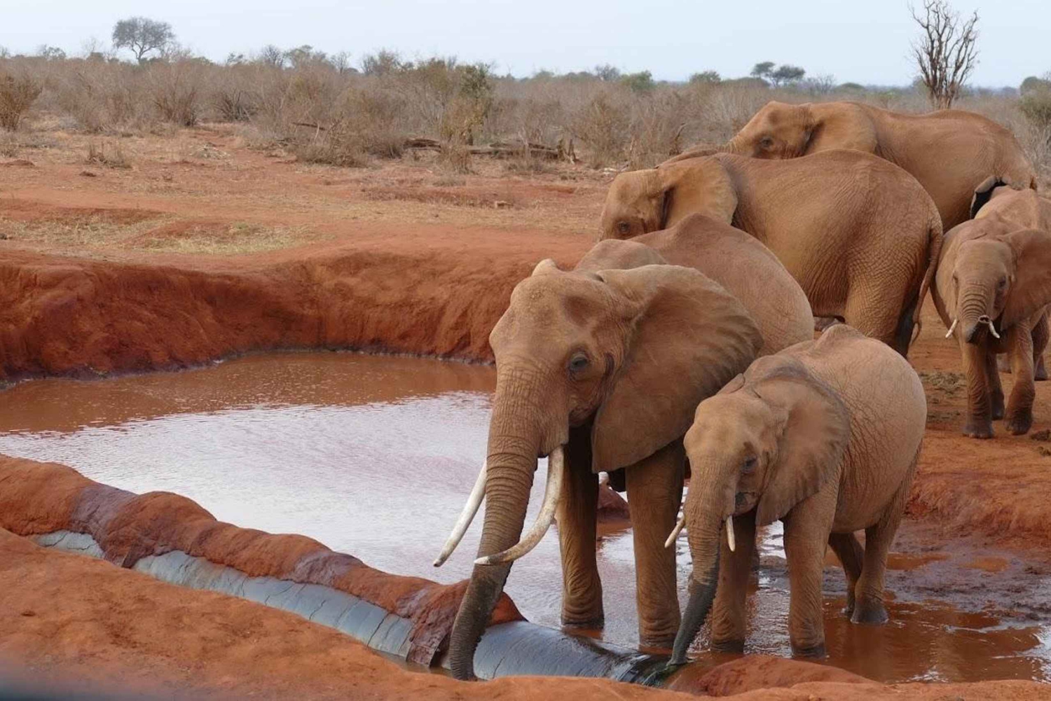 2 дня 1 ночь сафари в Цаво-Ист из Диани/Момбаса