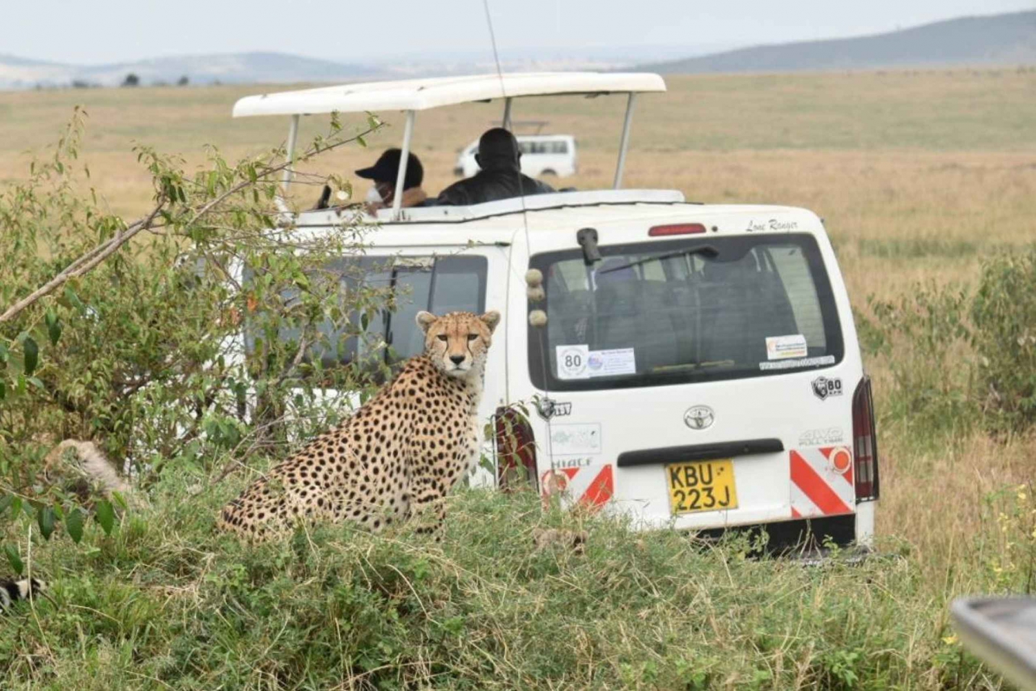 Från Nairobi: 2 dagar och 1 natt privat 4WD-safari i Masai Mara