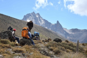 Aventura de 3 días de Escalada al Monte Kenia: Conquista las cumbres