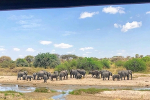 ナイロビ発セレンゲティ＆ンゴロンゴロ3日間サファリツアー