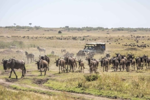 Safari de 3 días por el Masai Mara con experiencia en globo aerostático