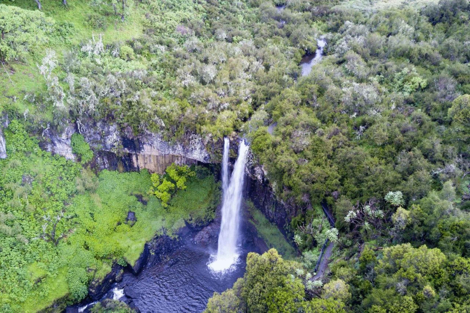Au départ de Nairobi : expérience éco-touristique de 5 jours dans le centre du Kenya
