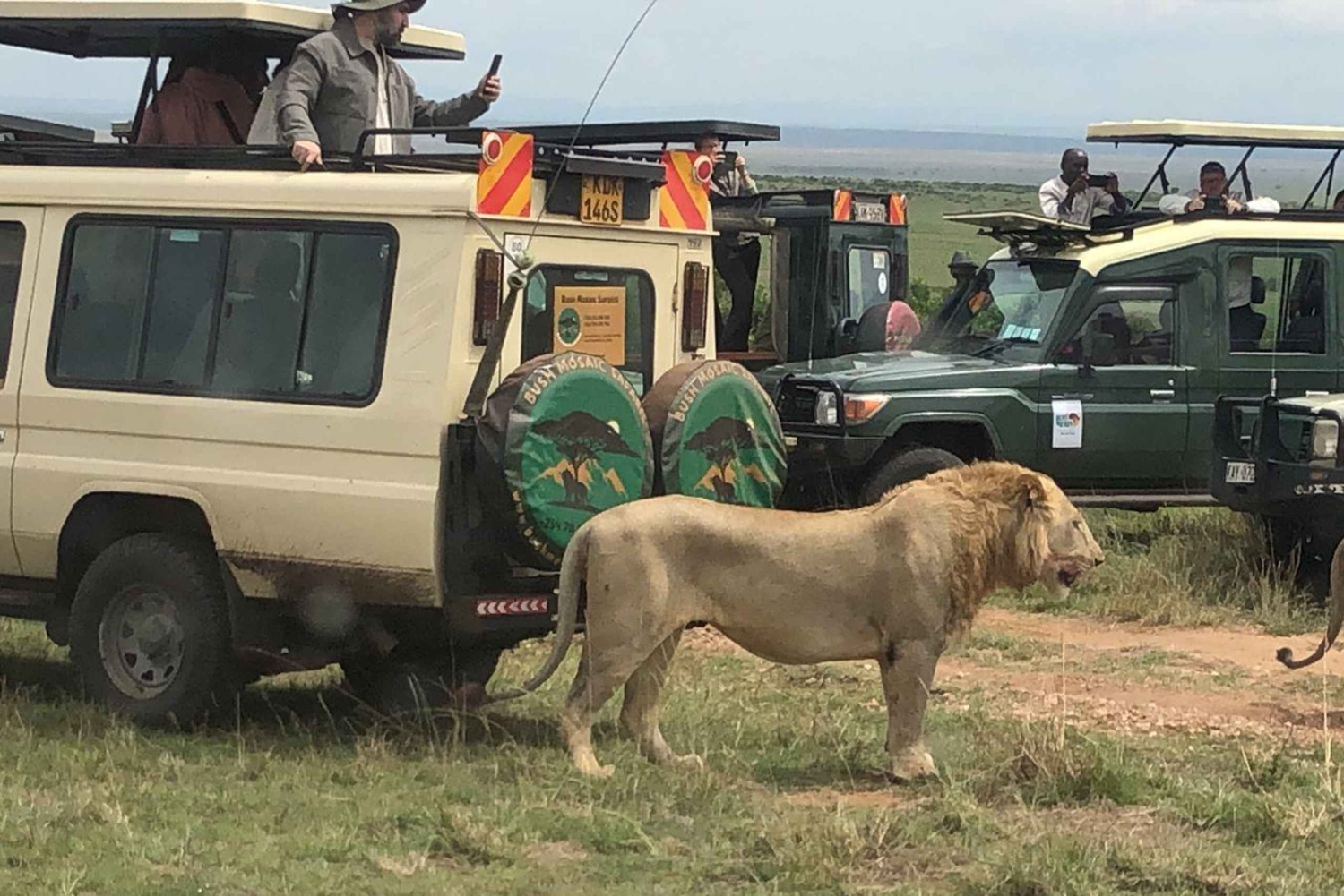 Parque Nacional de Amboseli: safari con alojamiento