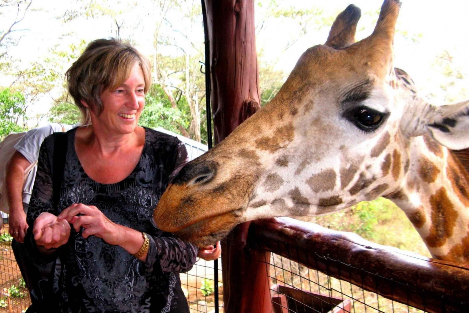 David Sheldrick Wildlife Trust and Giraffe Centre Tour
