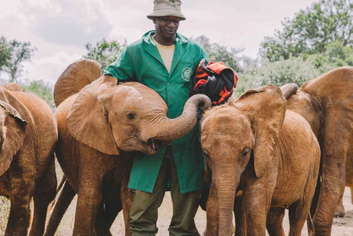 David Sheldrick Wildlife Trust halve dag tour