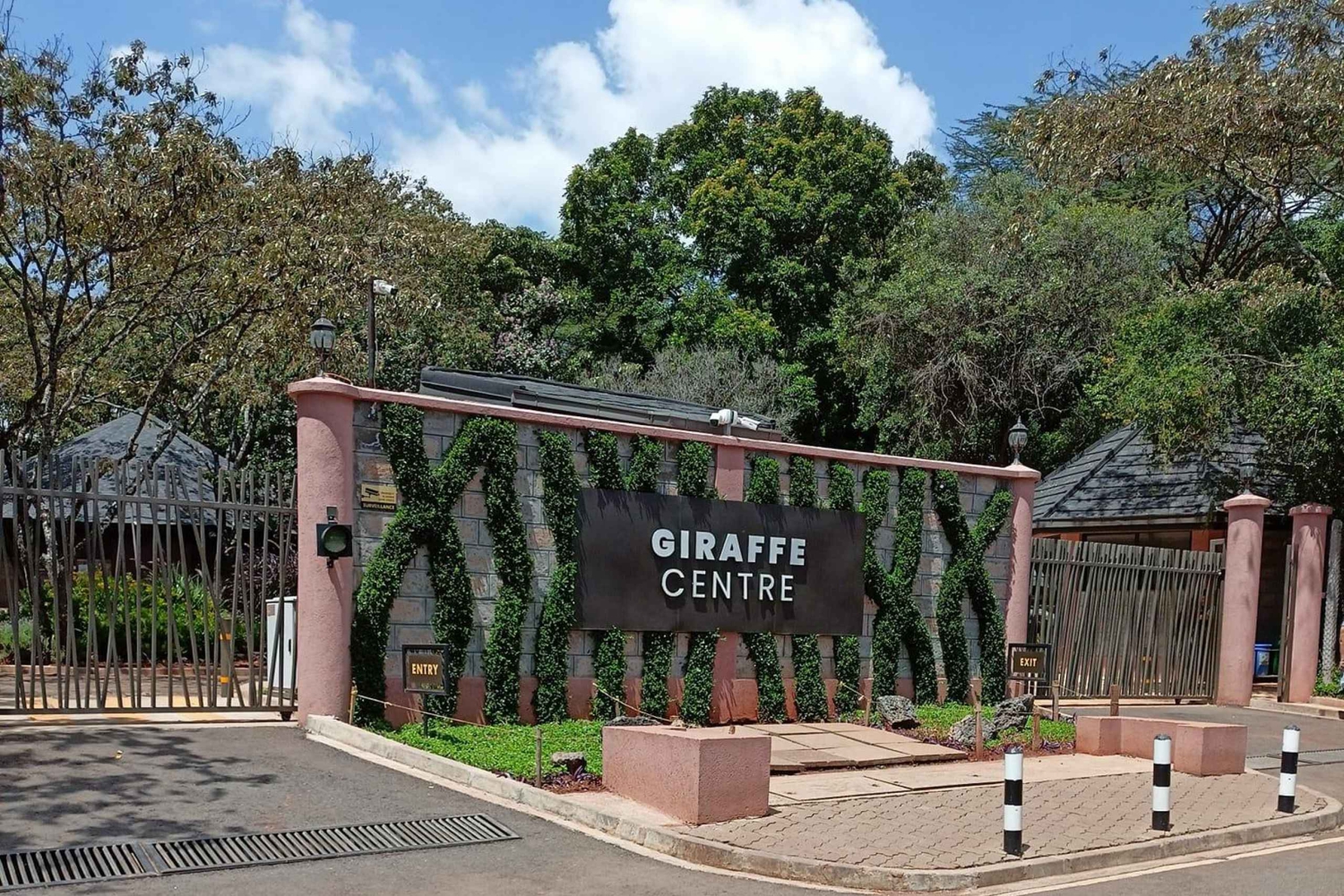 Dagtocht naar het Giraffe Center en het Karen Blixen Museum