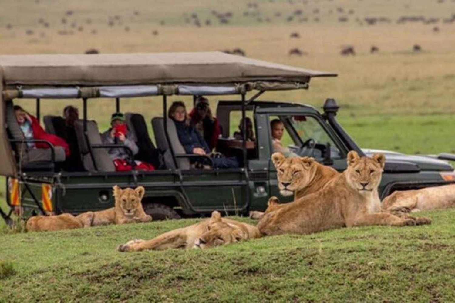 Päiväretki Maasai Mara -luonnonpuistoon Nairobista.