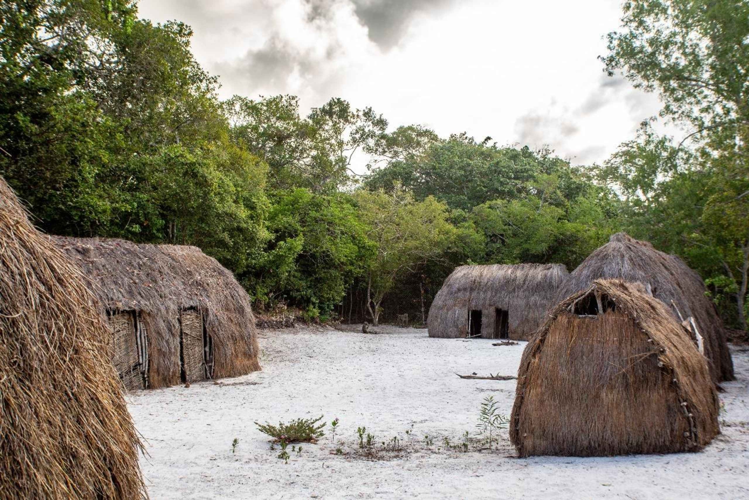 Diani: Observación de aves en Arabuko y paseo por la naturaleza en Tsavo East