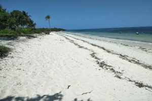 Diani Beach: Glasbottenbåt, snorkling och Sun Bank Tour