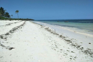 Diani Beach: Glasbottenbåt, snorkling och Sun Bank Tour