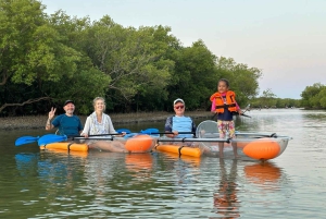 Diani Beach: excursie met een kajak met glazen bodem