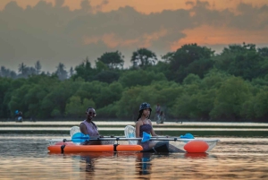 Diani Beach: excursie met een kajak met glazen bodem
