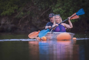Diani Beach: excursie met een kajak met glazen bodem