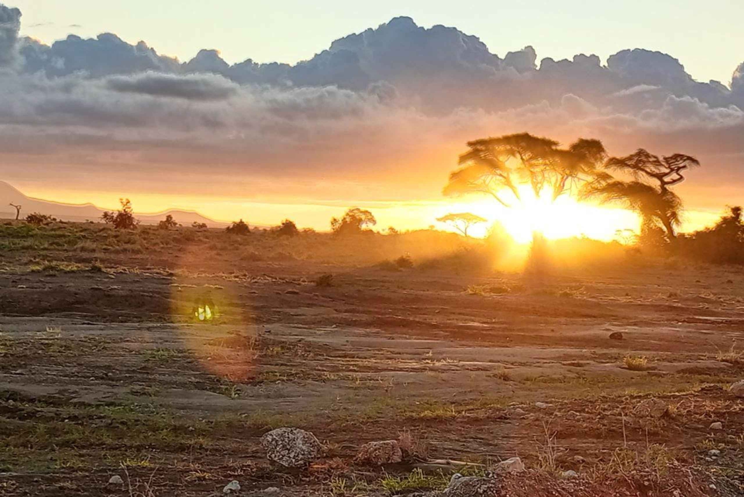 Диани: тур на внедорожниках, заповедник Рукинга, дикая природа и поход