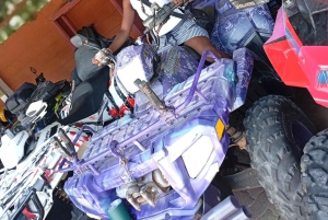 Diani: aventura en quad por Shimba Hills y Mwabungo Village