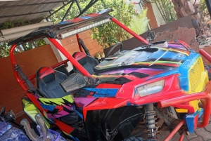 Diani: aventura en quad por Shimba Hills y Mwabungo Village