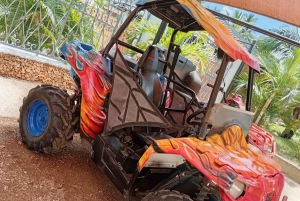 Diani: aventura en quad por Shimba Hills y Mwabungo Village