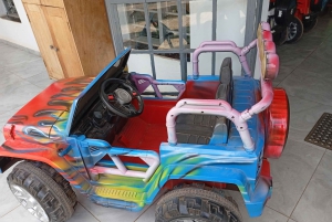 Diani: aventura en quad por Shimba Hills y Mwabungo Village