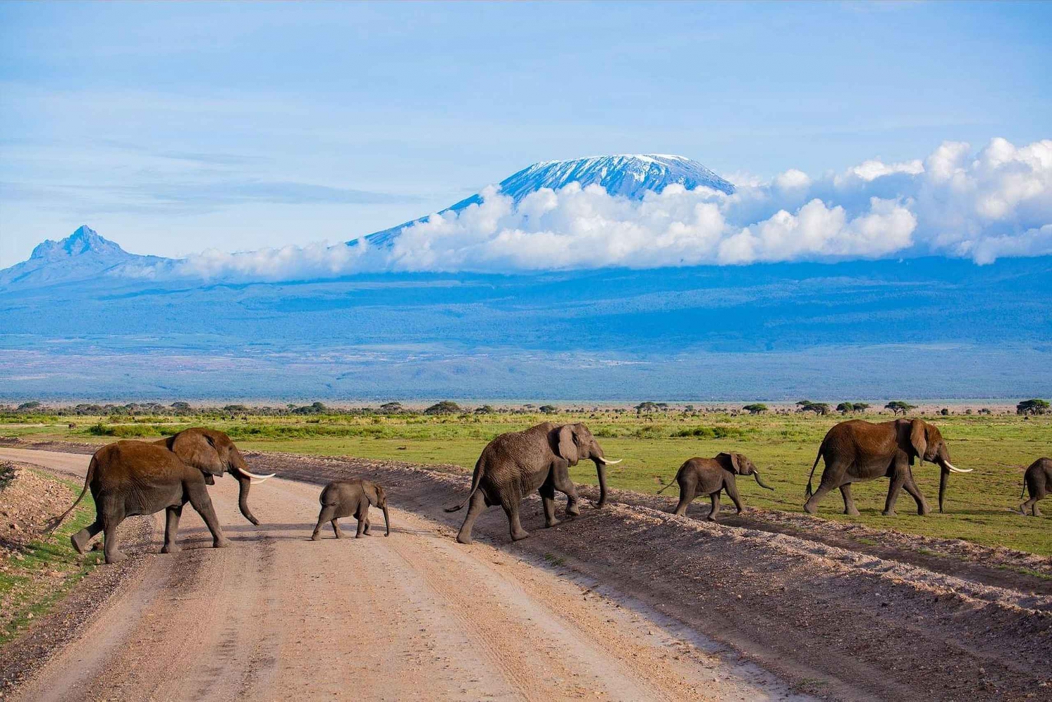 From Nairobi: 2-Day Amboseli National Park Safari