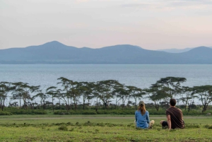 Da Nairobi: Safari privato di 2 giorni sul lago Nakuru e Naivasha