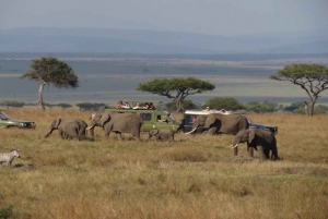 Ист-Лондон: поездка в горы Хогсбек с проживанием