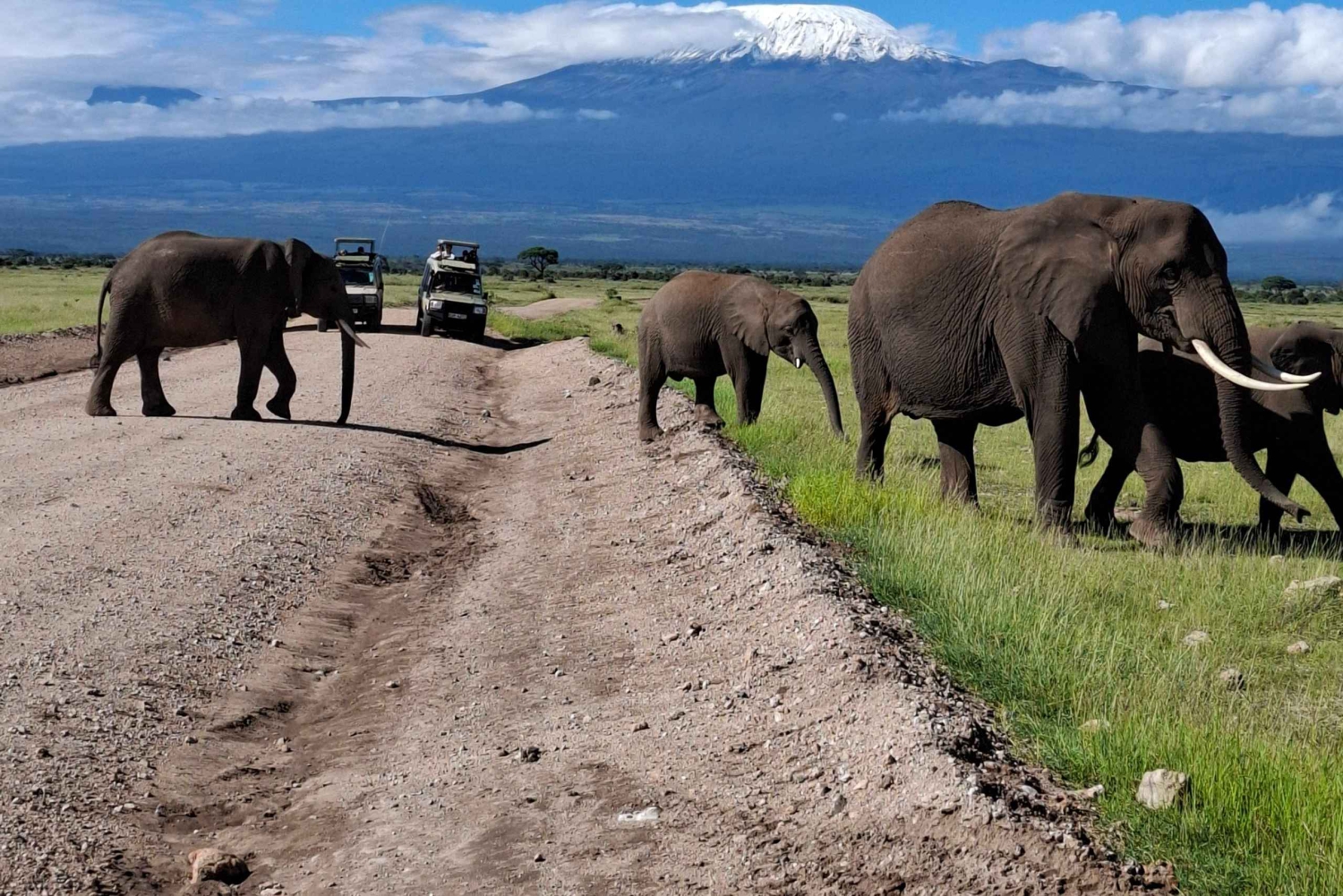 From Nairobi: Amboseli National Park Day Trip & Game Drive