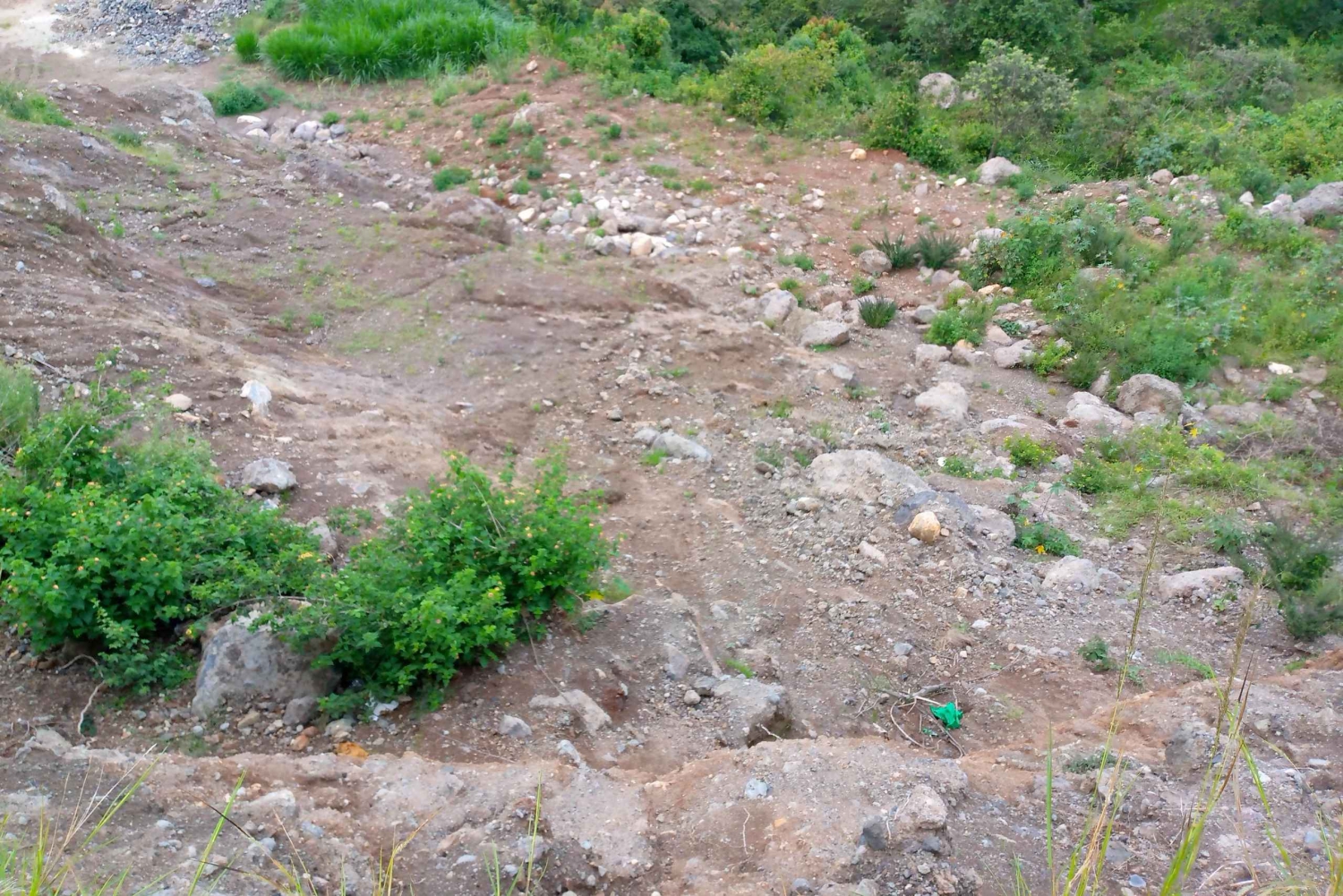 Fra Nairobi: Guidet fugletittingstur