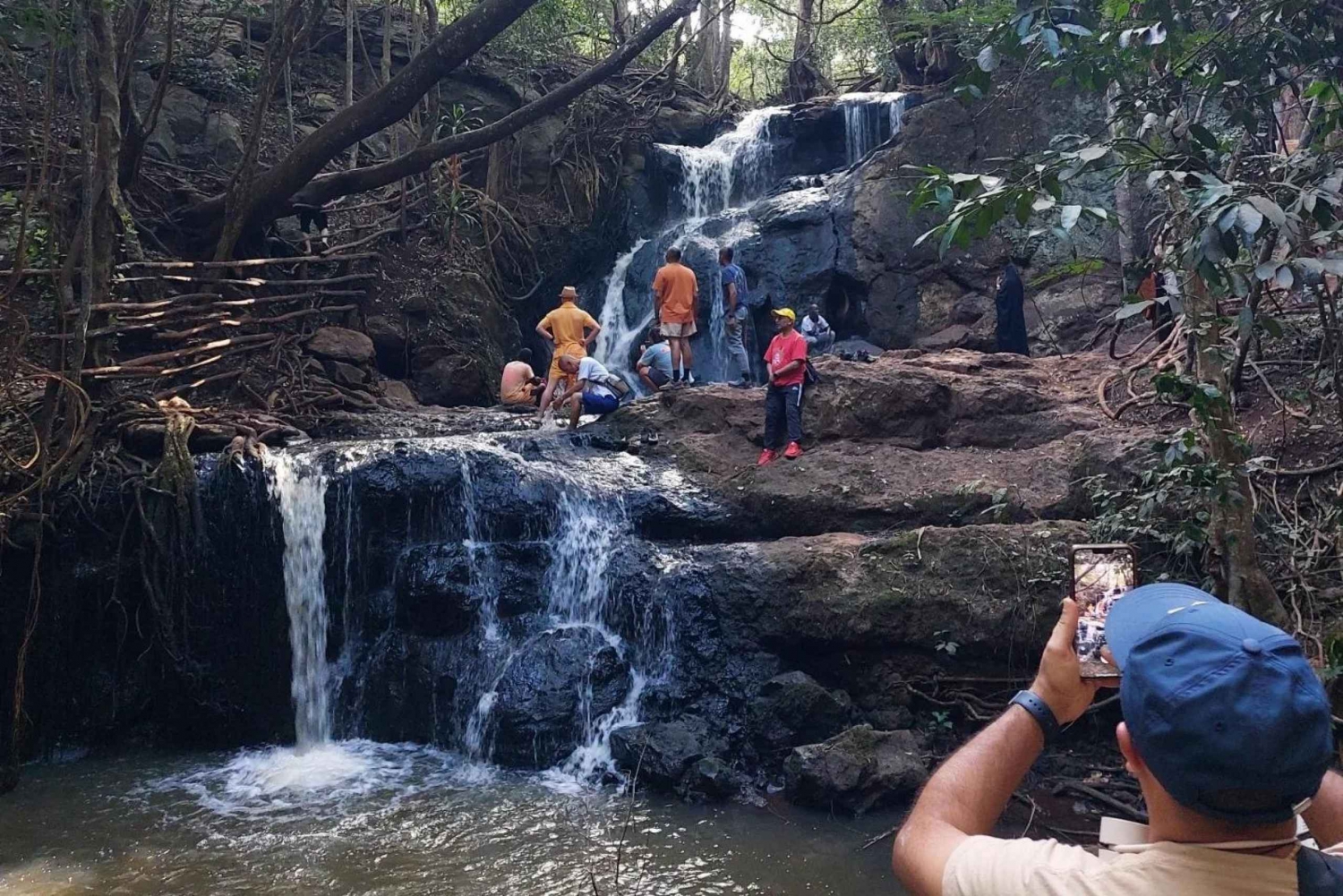 Depuis Nairobi : Karura Forest Nature Trail