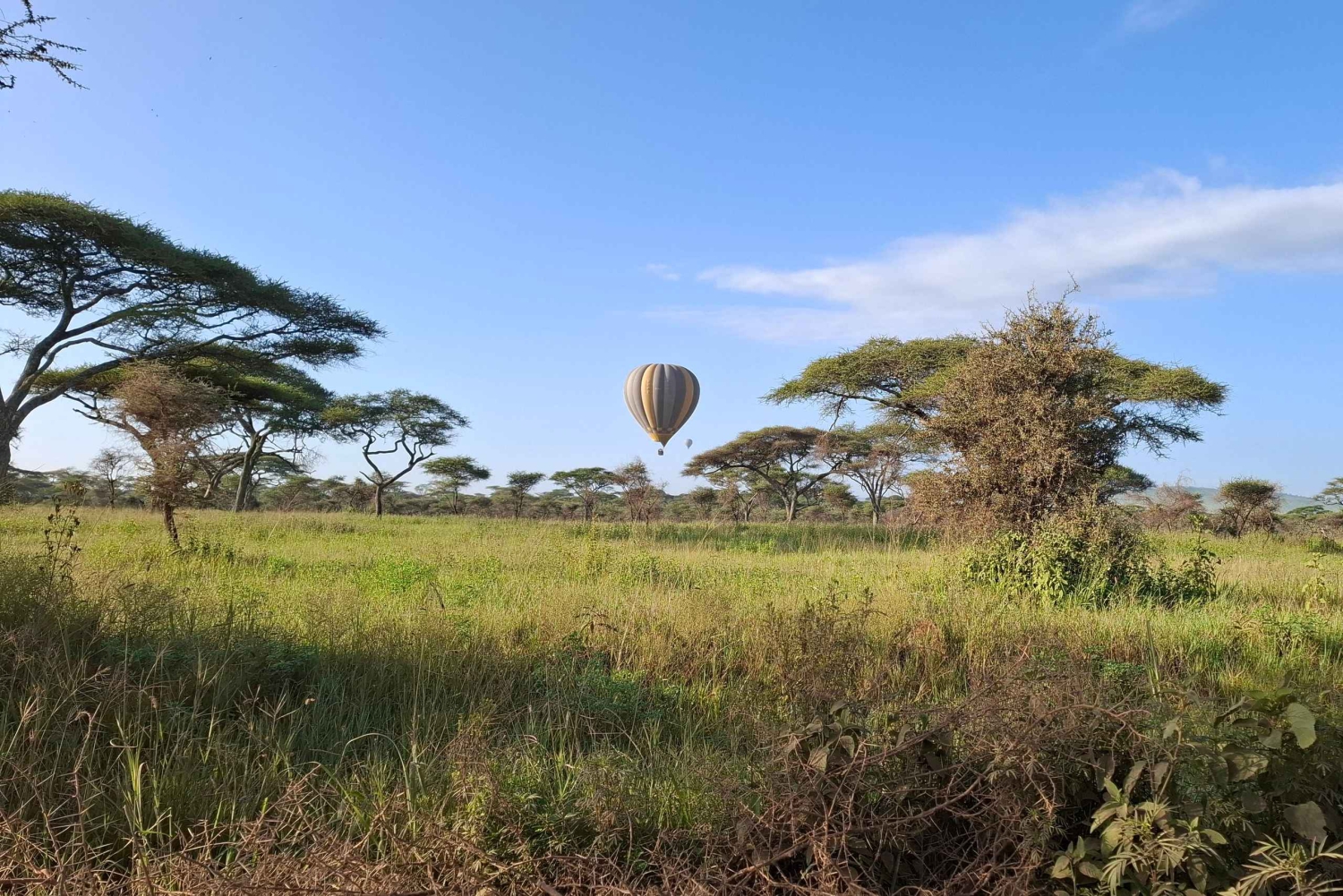 Från Nairobi: Masai Mara 6-dagars budgetsafari