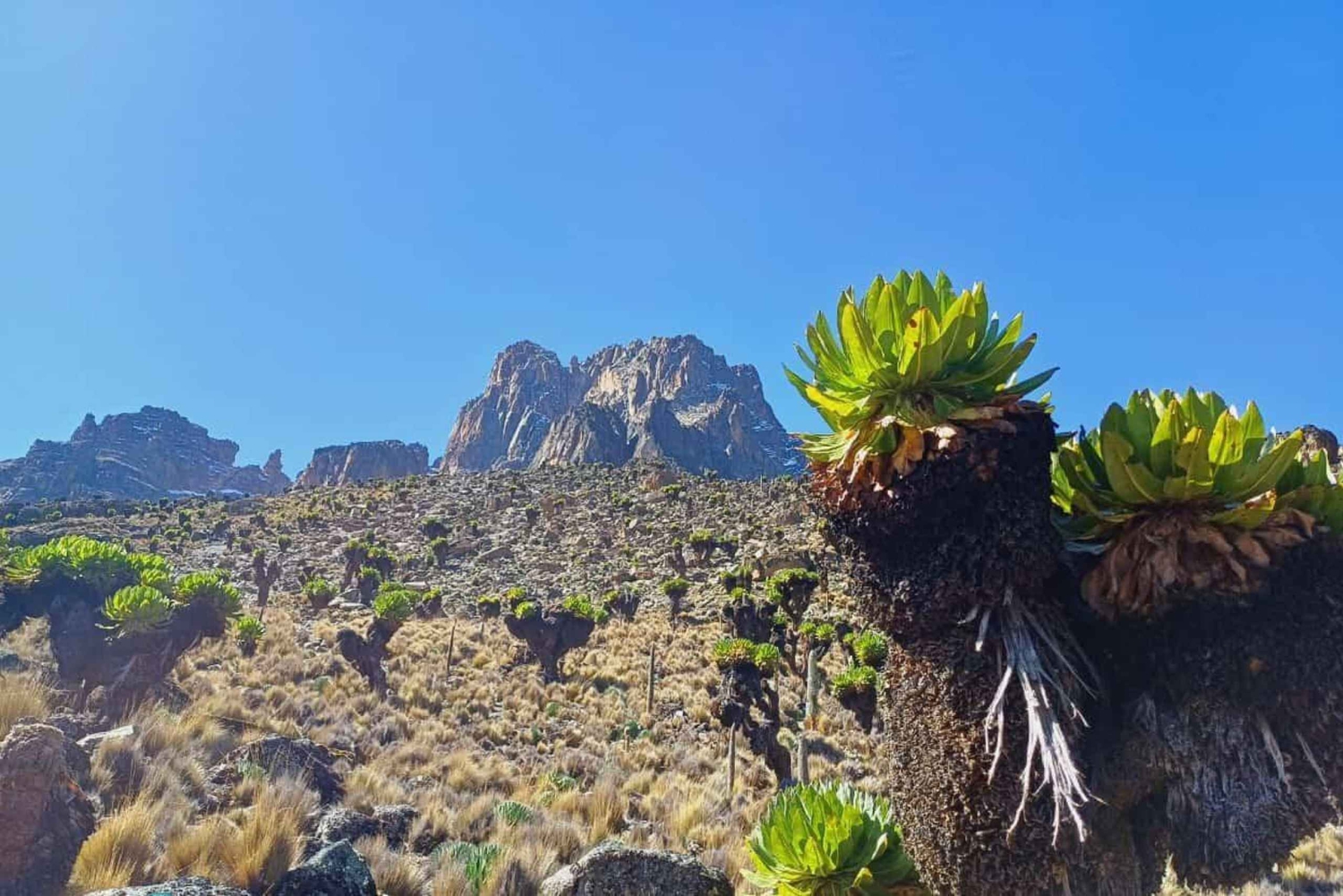 Vanuit Nairobi: Mount Kenya 4-daagse trektocht
