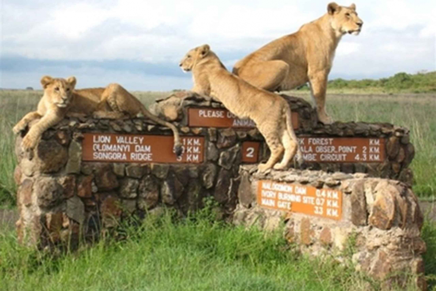 Von Nairobi aus: Private Nairobi National Park Tour