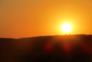 Nairobista Masai Maraan: 3 päivää 2 yötä Masai Marassa