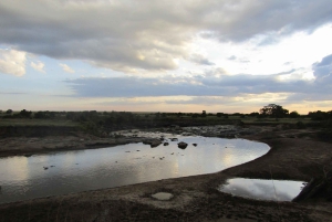 Nairobista Masai Maraan: 3 päivää 2 yötä Masai Marassa