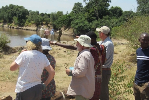 Nairobista Masai Maraan: 3 päivää 2 yötä Masai Marassa