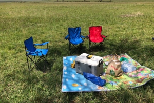 Nairobista Masai Maraan: 3 päivää 2 yötä Masai Marassa