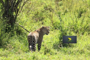 Nairobista Masai Maraan: 3 päivää 2 yötä Masai Marassa
