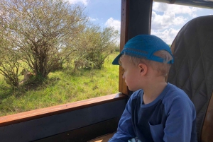 Nairobista Masai Maraan: 3 päivää 2 yötä Masai Marassa