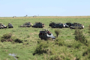 Nairobista Masai Maraan: 3 päivää 2 yötä Masai Marassa