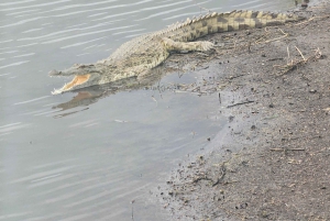 Nairobista Masai Maraan: 3 päivää 2 yötä Masai Marassa